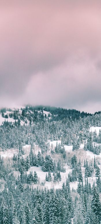 clouds, winter forest Wallpaper 720x1600