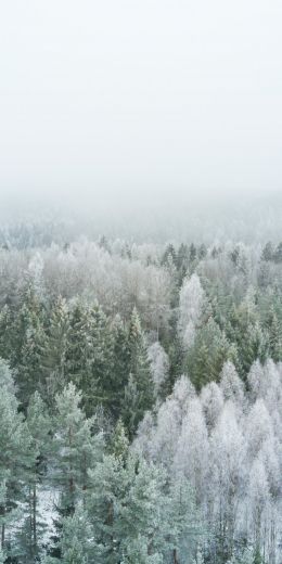 winter forest, top view Wallpaper 720x1440