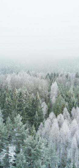 winter forest, top view Wallpaper 720x1520