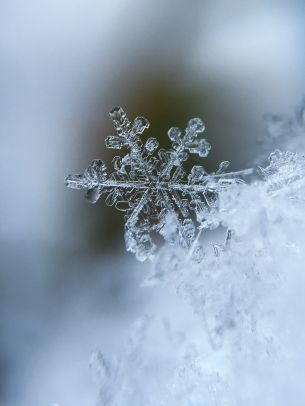 snowflake, cold Wallpaper 1536x2048