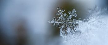 snowflake, cold Wallpaper 2560x1080