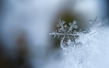 snowflake, cold Wallpaper 2560x1600