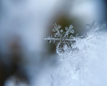 snowflake, cold Wallpaper 1280x1024