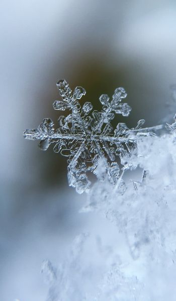 snowflake, cold Wallpaper 600x1024