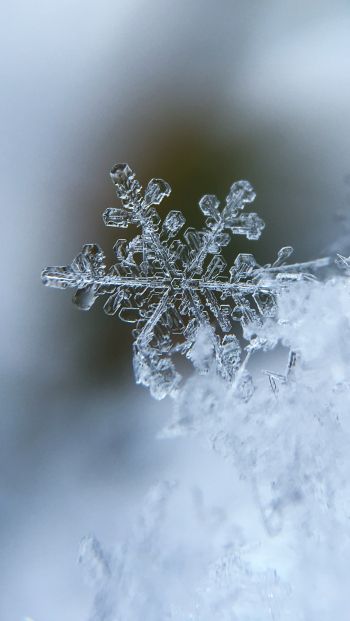 snowflake, cold Wallpaper 640x1136