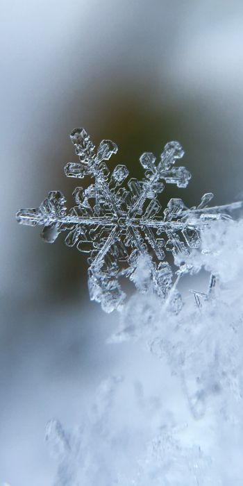 snowflake, cold Wallpaper 720x1440