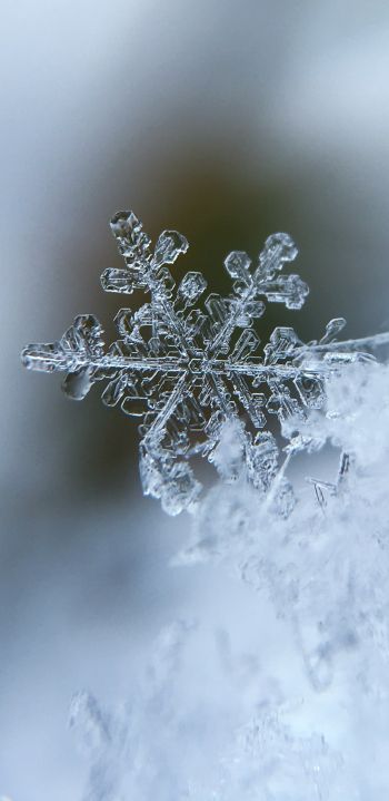 snowflake, cold Wallpaper 1080x2220