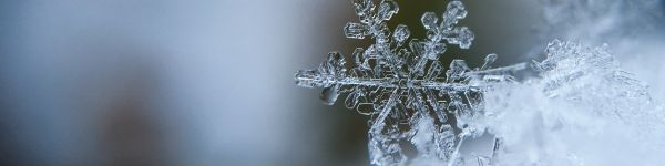 snowflake, cold Wallpaper 1590x400
