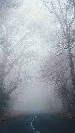 New Forest National Park, Lindhurst, Great Britain Wallpaper 640x1136