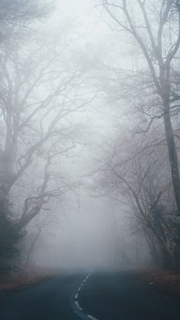 New Forest National Park, Lindhurst, Great Britain Wallpaper 2160x3840