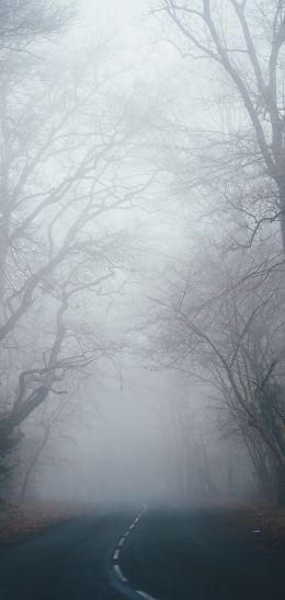 New Forest National Park, Lindhurst, Great Britain Wallpaper 1080x2280