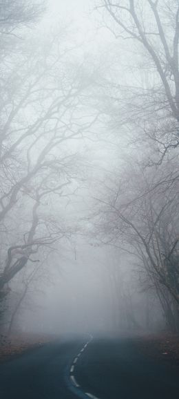 New Forest National Park, Lindhurst, Great Britain Wallpaper 1080x2400