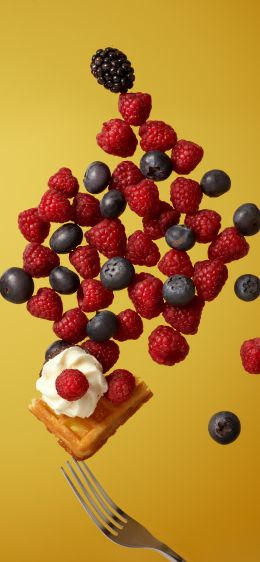 waffles, berries, dessert Wallpaper 1170x2532