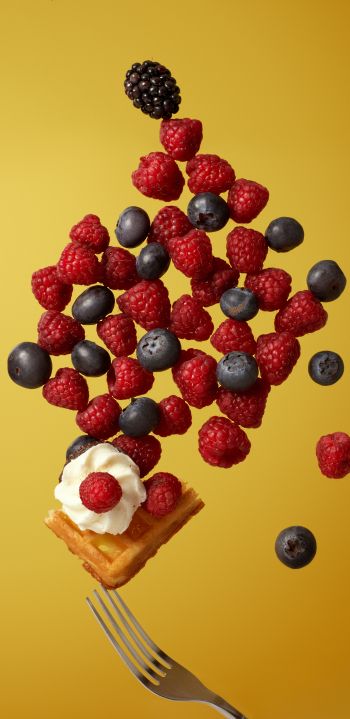 waffles, berries, dessert Wallpaper 1080x2220