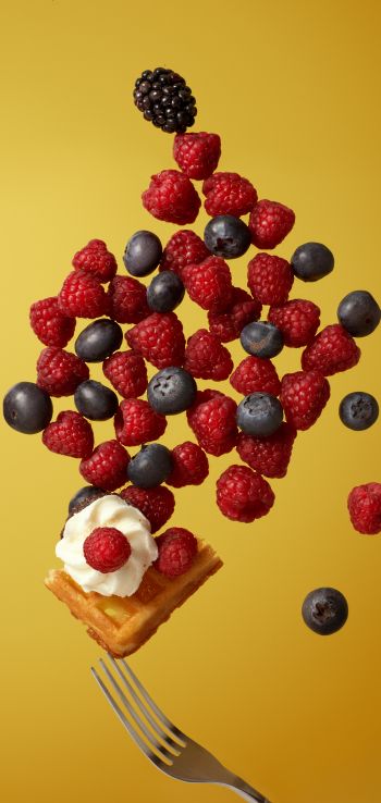 waffles, berries, dessert Wallpaper 1080x2280