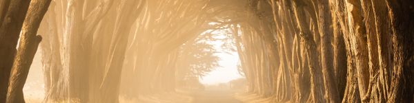 fog, road, tunnel Wallpaper 1590x400