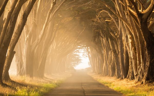 fog, road, tunnel Wallpaper 1920x1200