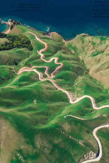 Обои 640x960 Остров Дюрвиль, Новая Зеландия