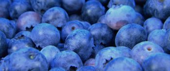 blueberry, berries, blue Wallpaper 3440x1440