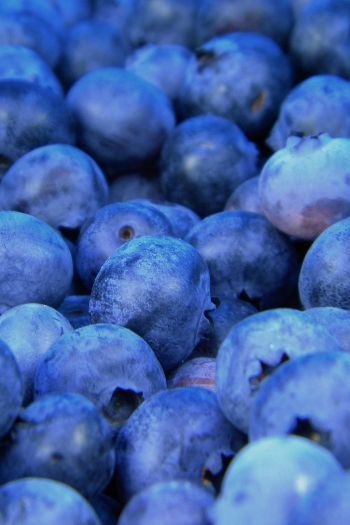 blueberry, berries, blue Wallpaper 640x960