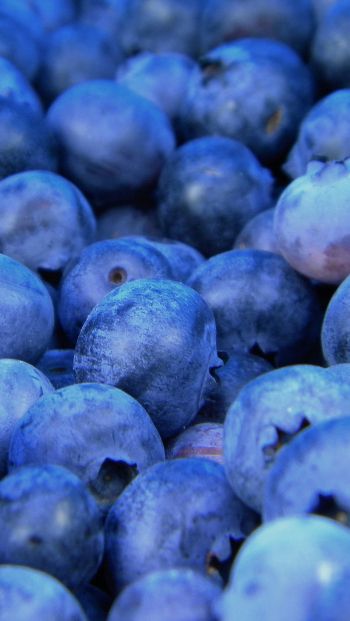 blueberry, berries, blue Wallpaper 640x1136