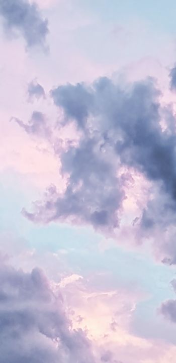clouds, sky, light Wallpaper 1440x2960