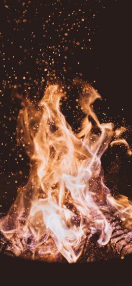 flame, bright, fire Wallpaper 828x1792