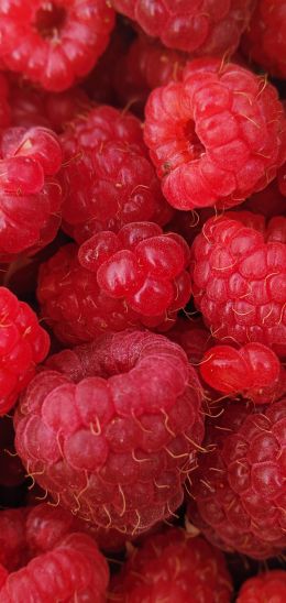 raspberries, berries Wallpaper 720x1520