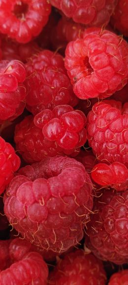raspberries, berries Wallpaper 1440x3200