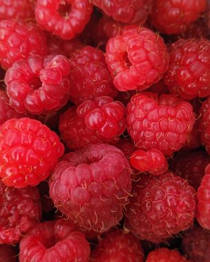 raspberries, berries Wallpaper 3024x3780