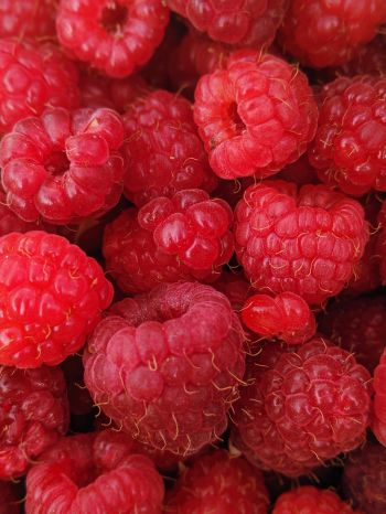 raspberries, berries Wallpaper 1620x2160