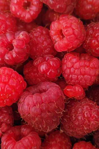 raspberries, berries Wallpaper 640x960
