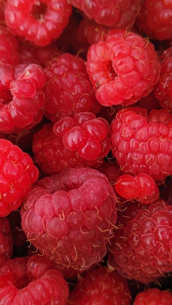 raspberries, berries Wallpaper 640x1136