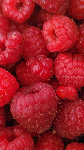 raspberries, berries Wallpaper 1080x1920