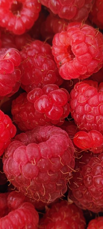raspberries, berries Wallpaper 1080x2400