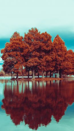 Обои 640x1136 деревья, осень, отражение