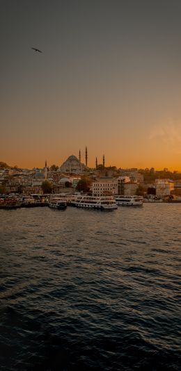 Istanbul, city, coast Wallpaper 1080x2220