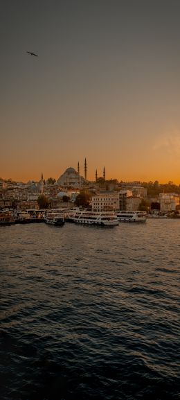 Istanbul, city, coast Wallpaper 1440x3200