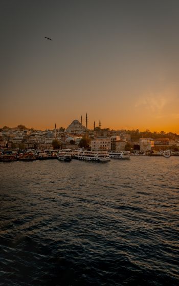 Istanbul, city, coast Wallpaper 800x1280