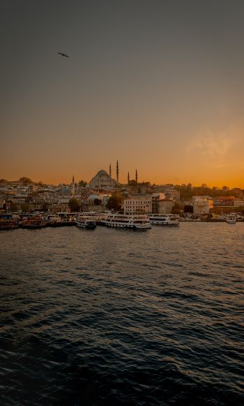 Istanbul, city, coast Wallpaper 1200x2000
