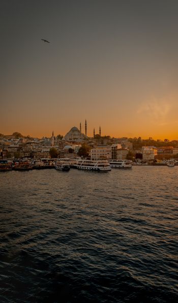 Istanbul, city, coast Wallpaper 600x1024
