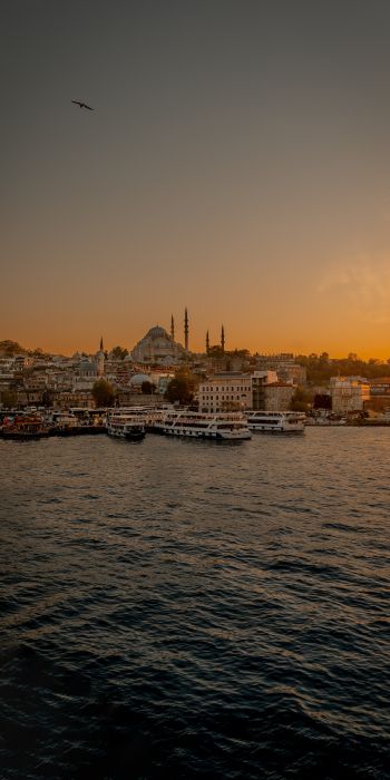Istanbul, city, coast Wallpaper 720x1440