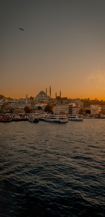 Istanbul, city, coast Wallpaper 1440x2960