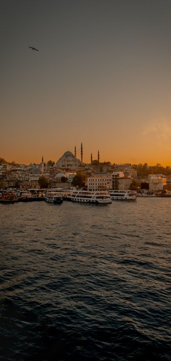 Istanbul, city, coast Wallpaper 720x1520