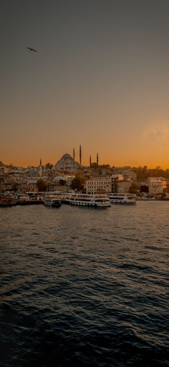 Istanbul, city, coast Wallpaper 828x1792