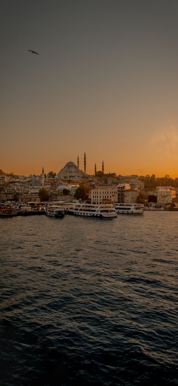 Istanbul, city, coast Wallpaper 1080x2340