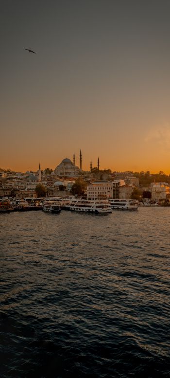 Istanbul, city, coast Wallpaper 720x1600