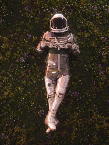 Обои 1668x2224 космонавт, поле, цветы