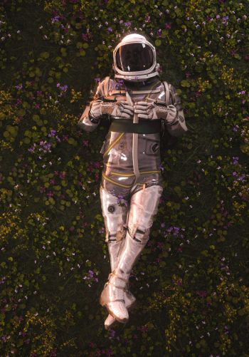 Обои 1668x2388 космонавт, поле, цветы