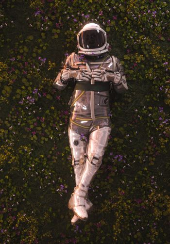 Обои 1640x2360 космонавт, поле, цветы